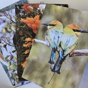 Set of 5 Cards